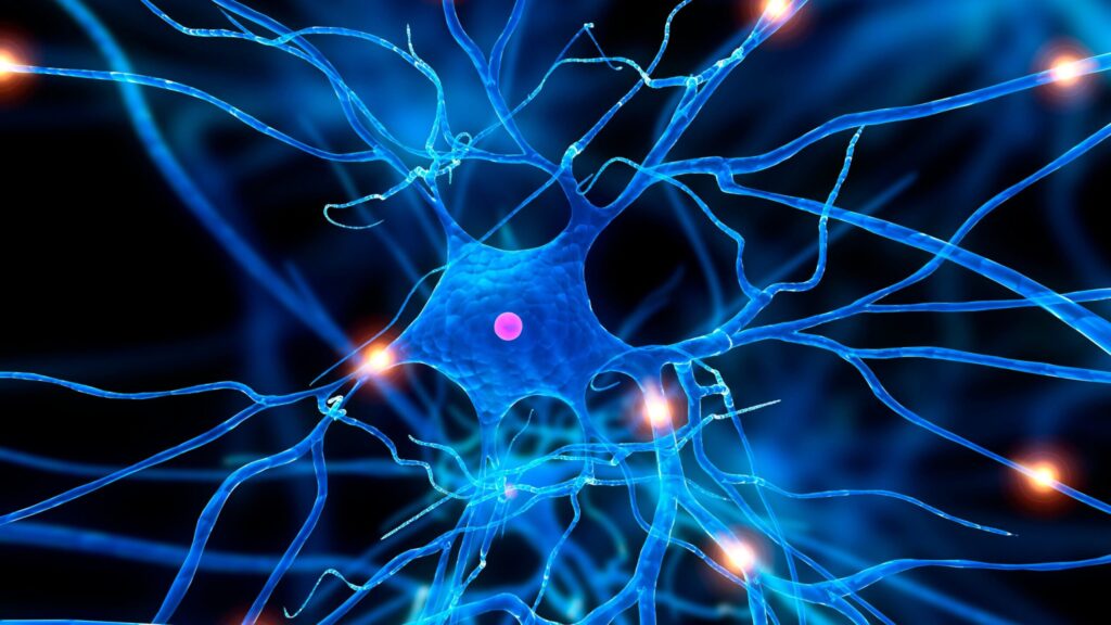 Neurons connected and firing do to dissociative Ketamine treatment