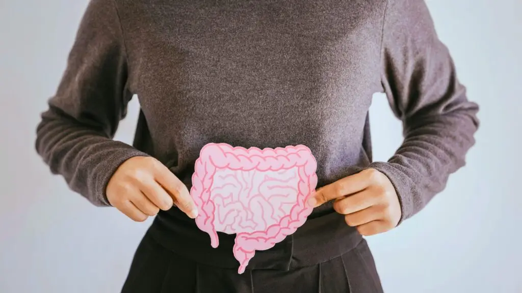 A woman holding an image of the gut against her body to resemble irritable bowel syndrome